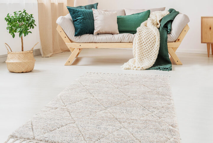 Sophia Talas Trellis Area Rug in Cream in Cream From Madison Park