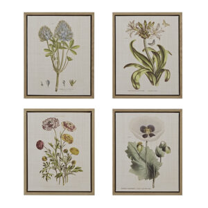 Herbal Botany 4-piece Botanical Illustration Framed Canvas Wall Art Set in Green From Martha Stewart