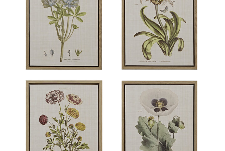 Herbal Botany 4-piece Botanical Illustration Framed Canvas Wall Art Set in Green From Martha Stewart