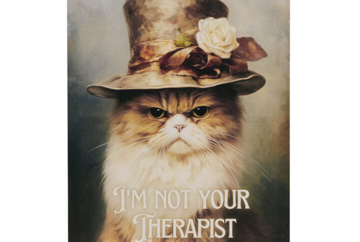 Grumpy Cats I'm Not Your Therapist Canvas Wall Art in I'm Not Your Therapist/Multi From Madison Park