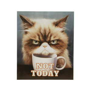 Grumpy Cats Not Today Canvas Wall Art in Not Today/Multi From Madison Park