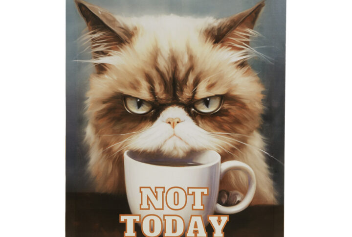 Grumpy Cats Not Today Canvas Wall Art in Not Today/Multi From Madison Park