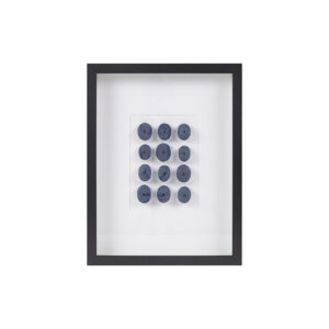 Indigo Shells Framed Sea Urchin Shadow Box Wall Decor in Blue From Martha Stewart