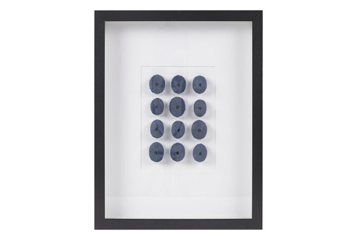 Indigo Shells Framed Sea Urchin Shadow Box Wall Decor in Blue From Martha Stewart