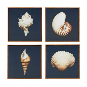 Ocean Seashells 4-piece Framed Canvas Wall Art Set in Blue From Madison Park