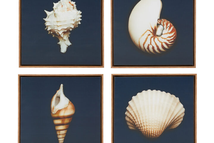 Ocean Seashells 4-piece Framed Canvas Wall Art Set in Blue From Madison Park