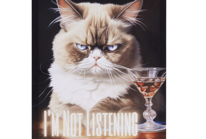 Grumpy Cats I'm Not Listening Canvas Wall Art in I'm Not Listening/Multi From Madison Park