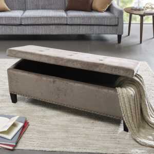 Shandra II Tufted Top Soft Close Storage Bench in Taupe From Madison Park