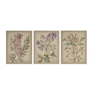 Linen Botanicals Illustration 3-piece Canvas Wall Art Set in Multi From Madison Park