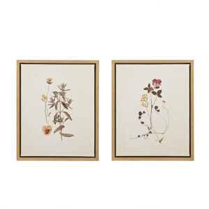 French Herbarium 2-piece Framed Canvas Wall Art Set in Multi From Martha Stewart