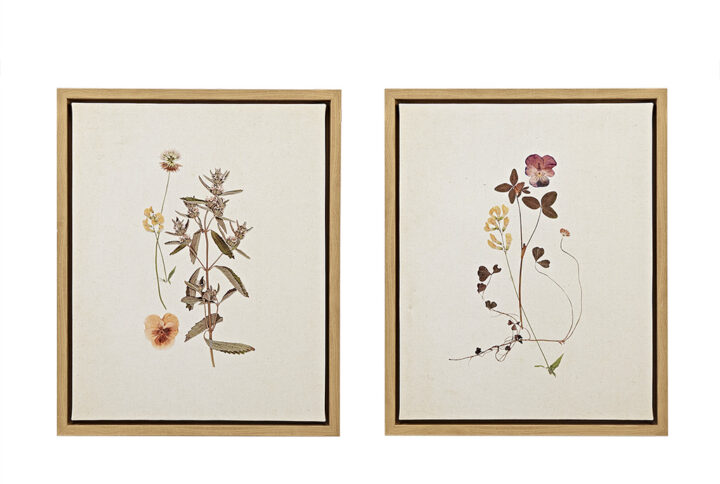 French Herbarium 2-piece Framed Canvas Wall Art Set in Multi From Martha Stewart