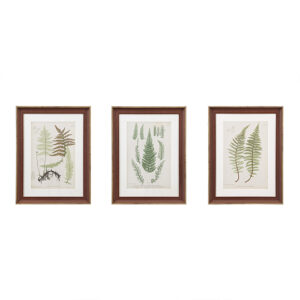 Lady Fern Collection Botanical Illustration 3-piece Framed Glass and Single Matted Wall Art Set in Green From Martha Stewart