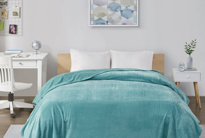 Microlight Plush Oversized Blanket in Aqua From Intelligent Design