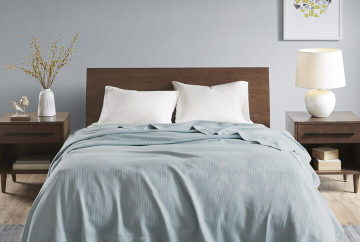 Egyptian Cotton Blanket in Light Blue From Madison Park