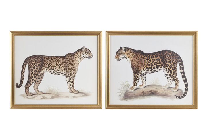 The Duel Cheetah Framed Graphic Wall Decor 2 Piece set in Multi From Martha Stewart