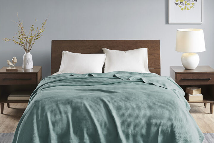 Egyptian Cotton Blanket in Teal From Madison Park