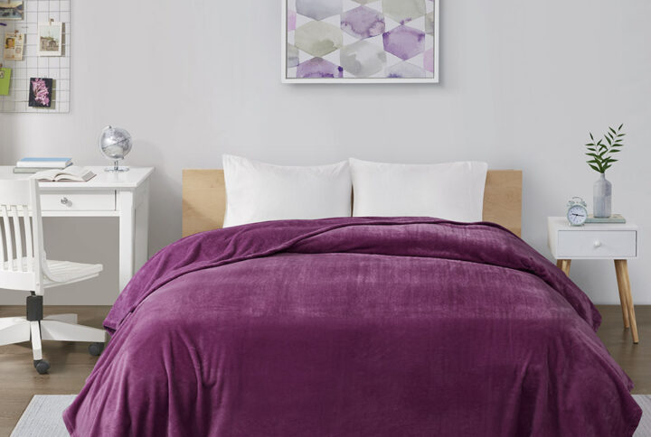 Microlight Plush Oversized Blanket in Purple From Intelligent Design