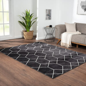 Averie Trellis Geometric Woven Area Rug in Black/Cream From Madison Park