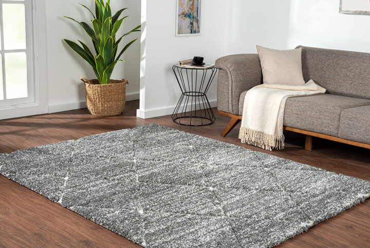 Sophie Talas Trellis Area Rug in Grey and Cream in Grey/Cream From Madison Park