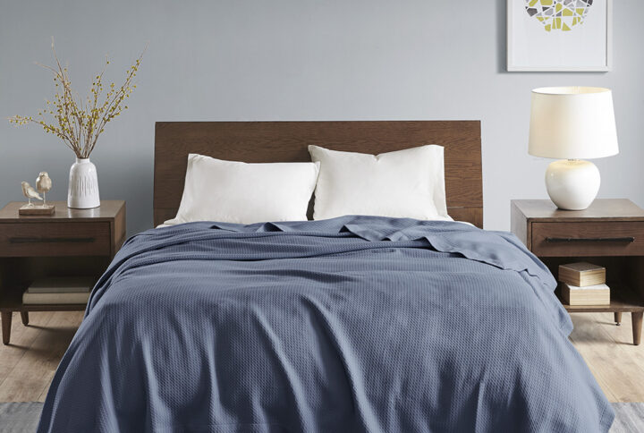 Egyptian Cotton Blanket in Blue From Madison Park