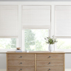 Alden Bamboo Light Filtering Roman Shade 64"L in White From Madison Park