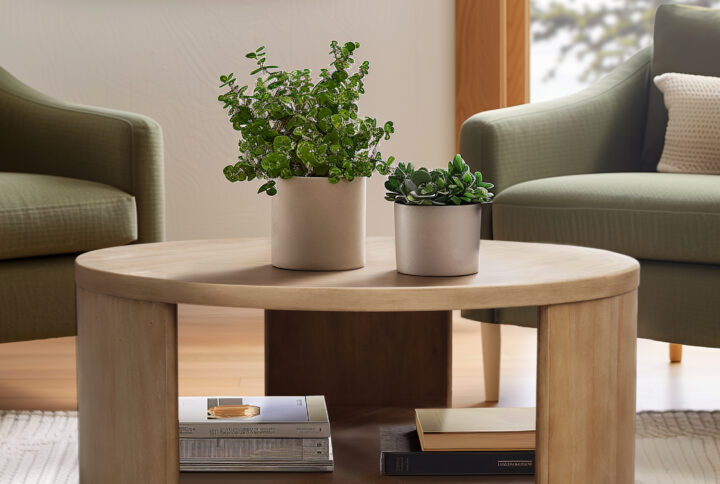 Skye Round Coffee Table with Shelf in Natural From INK+IVY