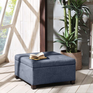 Aspen Soft Close Storage Ottoman in Blue From Madison Park