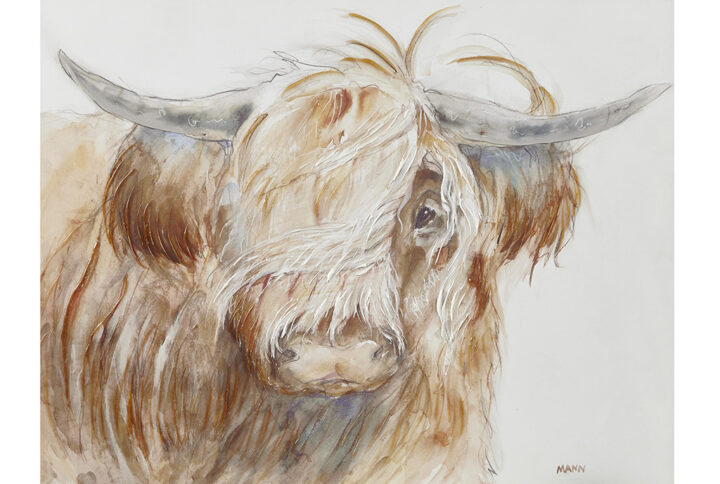 Windswept Hand Embellished Highland Bull Canvas Wall Art in Brown From INK+IVY